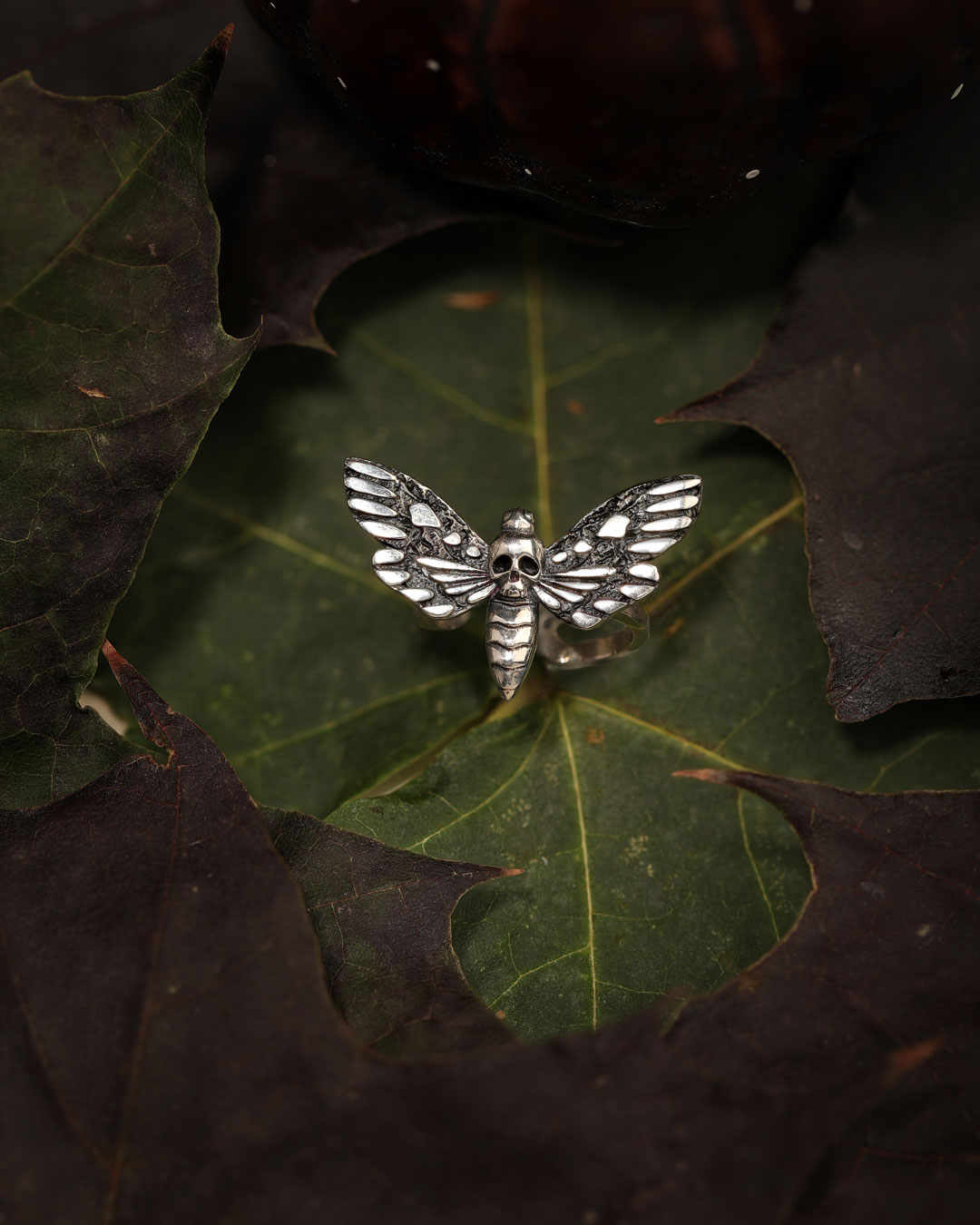 Silver hawk moth ear cuff on autumn leaves