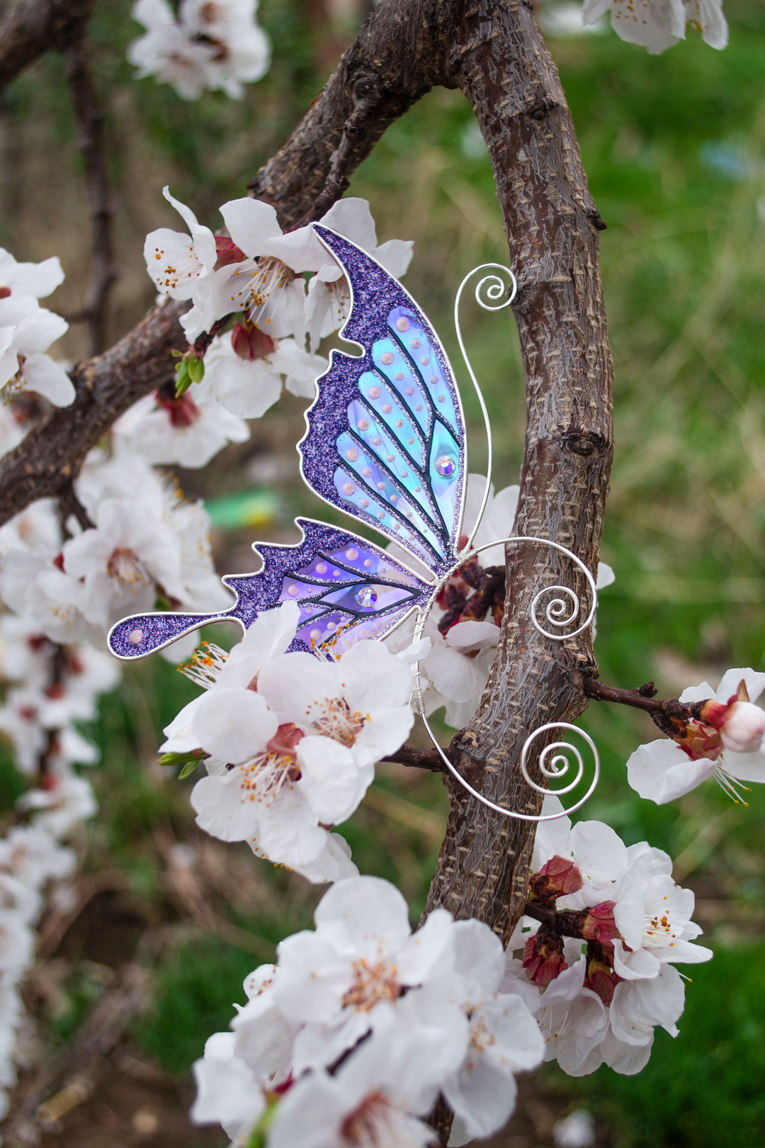 Purple butterfly ear cuff attached to blooming sakura branch, handmade fairy wing earring