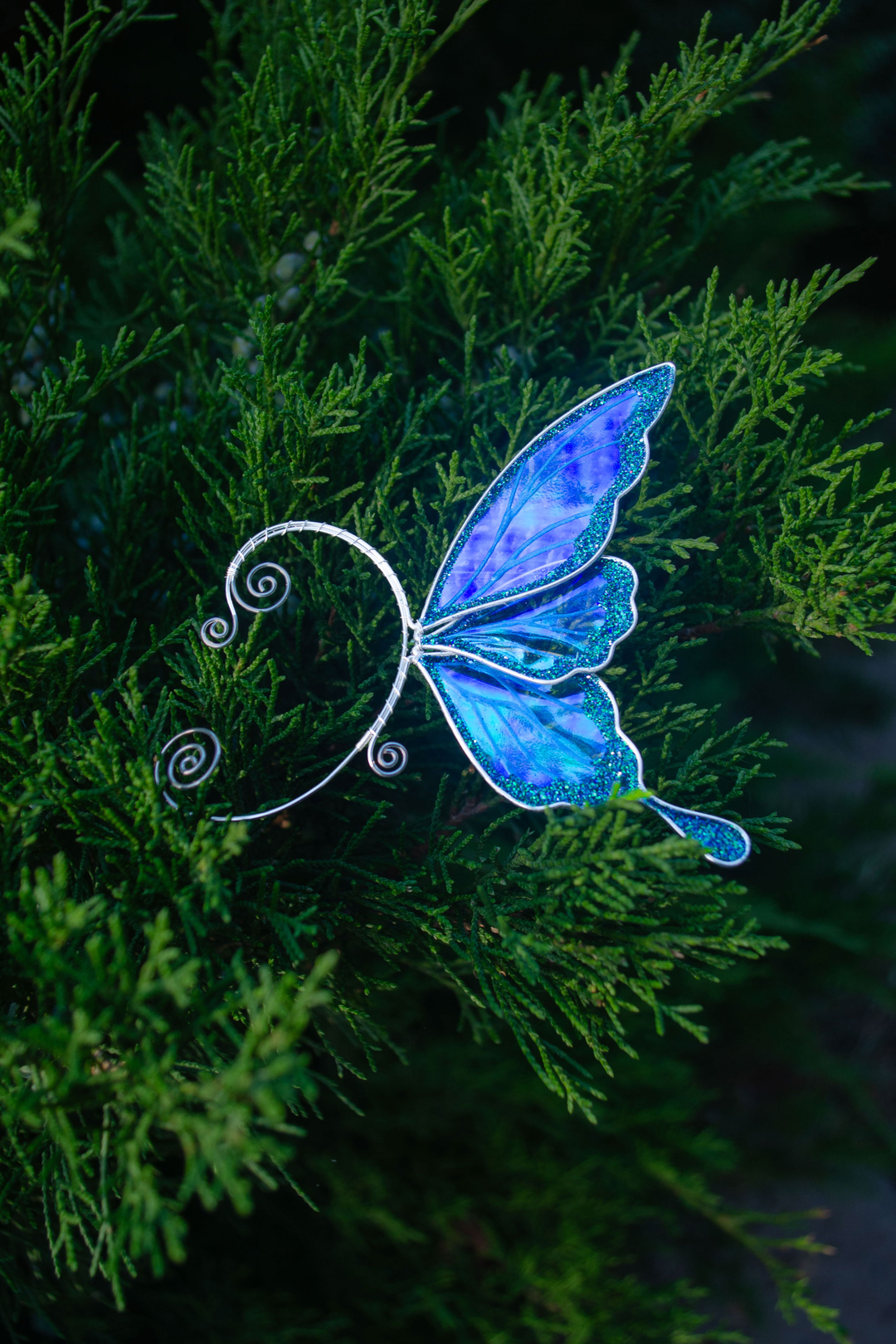 Iridescent blue fairy wing ear cuff displayed on green bush